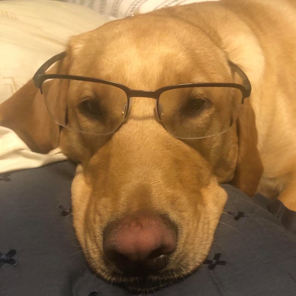 Meet your Posher, Çhrïš